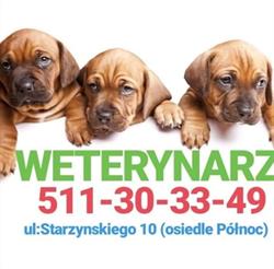 Gabinet Weterynaryjny "wetika", Częstochowa godziny otwarcia