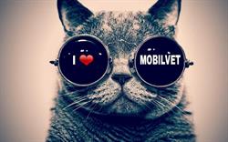 Mobilvet, Warszawa godziny otwarcia