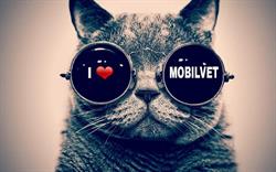 Mobilvet, Warszawa godziny otwarcia