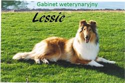 Gabinet Weterynaryjny Lessie. Grzegorz Stacharski, Kraków godziny otwarcia
