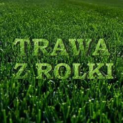 Trawa z Rolki Krzysztof Perz, Lubiczów godziny otwarcia