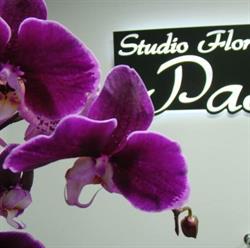 Studio Florystyczne "Pasja", Katowice - godziny otwarcia