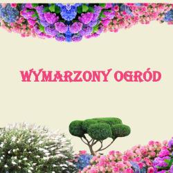 Wymarzony Ogród, Konin godziny otwarcia