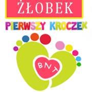 Żłobek Pierwszy Kroczek BNT, Warszawa - godziny otwarcia