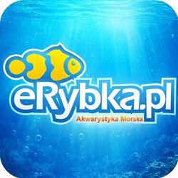 eRybka, Zabrze godziny otwarcia
