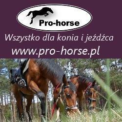 Pro-horse, Dąbrowa Górnicza godziny otwarcia