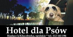 Hotel dla Psów oraz Salon Strzyżenia i Pielęgnacjji Psów, Biadacz, gm.Kluczbork, opolskie, godziny otwarcia