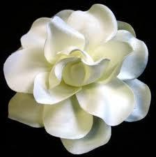 Salon kosmetyczny Gardenia Ogrody Urody, Zielona Góra - godziny otwarcia
