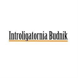 Introligatornia Budnik Artistic Gallery, Pelplin godziny otwarcia