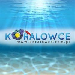 Koralowce.com.pl, Częstochowa godziny otwarcia