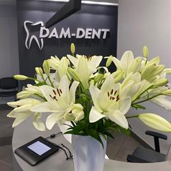 Centrum Stomatologii Dam-Dent, Wola godziny otwarcia