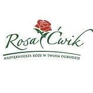 RosaĆwik Katarzyna Boras-Ćwik, Chludowo godziny otwarcia