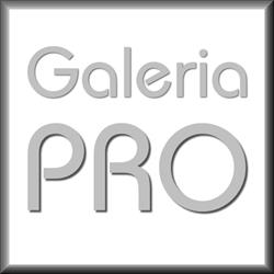 GALERIA PRO -OPRAWA OBRAZÓW-GALERIA SZTUKI rok zał.1995, Leszno godziny otwarcia