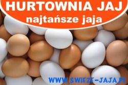 Hurtownia Jaj - Sprzedaż Jaj, Dymaczewo Nowe godziny otwarcia