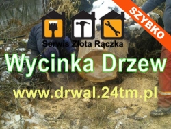 Wycinka drzew - Cięcie gałęzi - Wywóz, Górka godziny otwarcia