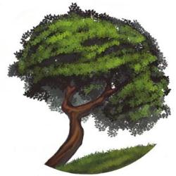 Visionwood Podłogi, Okna, Schody, Drzwi, Wyszków godziny otwarcia