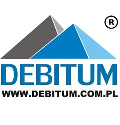 DEBITUM Doradztwo Ubezpieczeniowe, Radlin godziny otwarcia