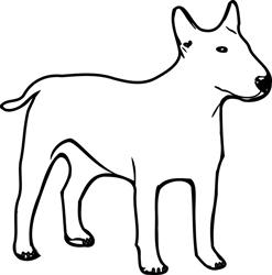 Gabinet weterynaryjny Bullterrier lek. wet. Mariusz Chmielewski, Raciąż godziny otwarcia