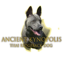 Ancient Kynopolis - hodowla psów rasy Thai Ridgeback Dog, Chełmiec godziny otwarcia