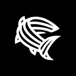 Blackfish Studio, Bydgoszcz godziny otwarcia
