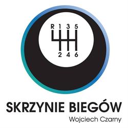 Skrzynie Biegów Wrocław Czarny Wojciech Czarny, godziny otwarcia
