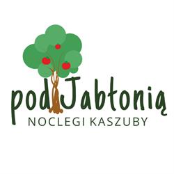 Noclegi Kaszuby Pod Jabłonią, Wąglikowice godziny otwarcia