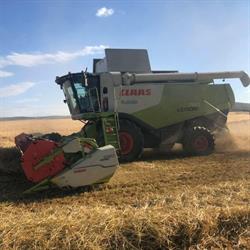 AGRO SILESIA, Siemianowice Śląskie godziny otwarcia