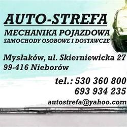 AUTO-STREFA Mechanika Pojazdowa Monika Rudnicka, Nieborów godziny otwarcia