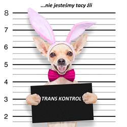 Bif Trans Kontrol Agnieszka Walczak, Poznań godziny otwarcia