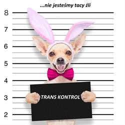 Bif Trans Kontrol Agnieszka Walczak, Poznań godziny otwarcia