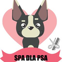 BŁAŻEJ JABŁOŃSKI SALON SPA DLA PSA, Nakło nad Notecią godziny otwarcia