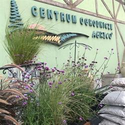 CENTRUM OGRODNICZE AGRICO G TOMAKA, Trzebownisko godziny otwarcia