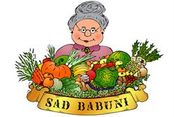 DARIA GRZEGORCZYK SAD BABUNI, Wrocław godziny otwarcia