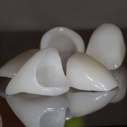 Dental Studio, Warszawa godziny otwarcia