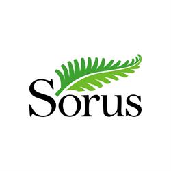 DM SORUS Sp. z o.o., Poznań godziny otwarcia