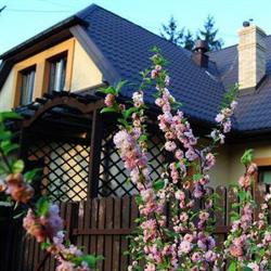 DOM GOŚCINNY IWONA, Kazimierz Dolny godziny otwarcia