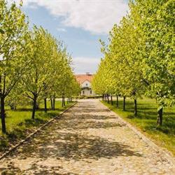 DWOREK ŁOSIE, Zambrów godziny otwarcia