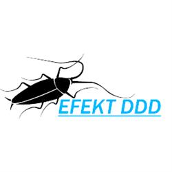 Efekt DDD, Andrychów godziny otwarcia