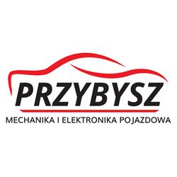 ELEKTRONIKA I MECHANIKA POJAZDOWA PAWEŁ PRZYBYSZ, Skierniewice godziny otwarcia