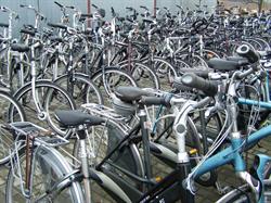 EVY BIKE, Łysomice godziny otwarcia