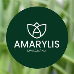 FIRMA AMARYLIS, Gniewkowo godziny otwarcia