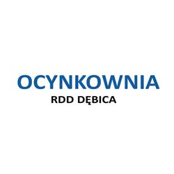 RDD Malarnia Proszkowa i Ocynkownia Dębica, godziny otwarcia