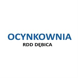 RDD Malarnia Proszkowa i Ocynkownia Dębica, godziny otwarcia