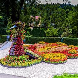 FLORAPARK, Jazowsko godziny otwarcia