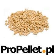 Propellet, Opole godziny otwarcia