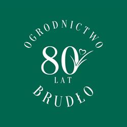 Brudło - Gospodarstwo Ogrodnicze, Kopanica godziny otwarcia