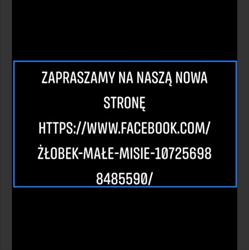 JACEK I AGATKA, Mińsk Mazowiecki godziny otwarcia