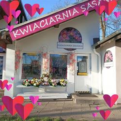 Kamil Kuchnicki Kwiaciarnia SASANKA, Hurtownia Kwiatów, Toruń godziny otwarcia