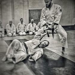 Klub Sportowy Bujukan, Będzin godziny otwarcia