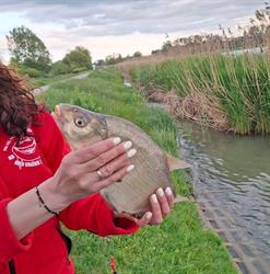 KONGO SKLEP WĘDKARSKO ZOOLOGICZNY, Kraśnik godziny otwarcia